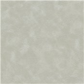 Winslow_Moonstone