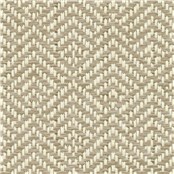 Zenith_Reed