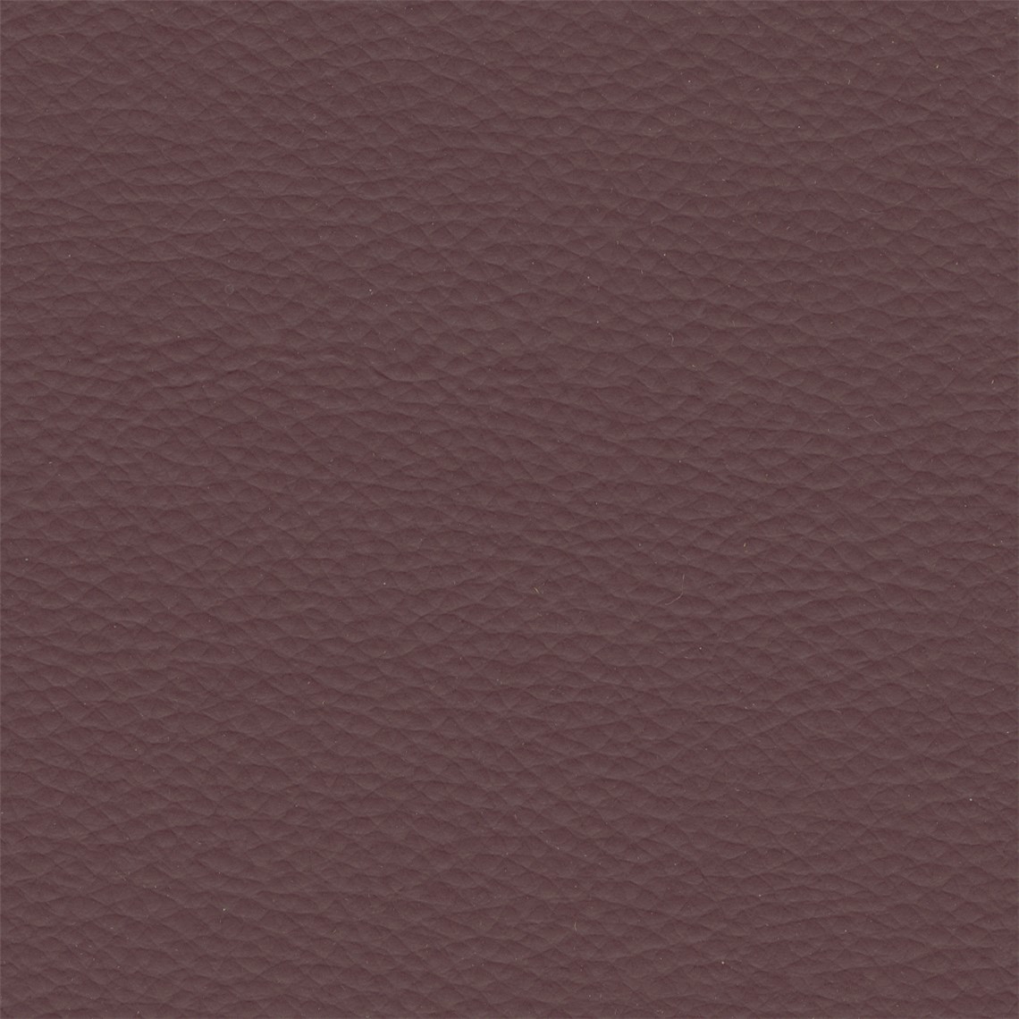Abracadabra_Bordeaux