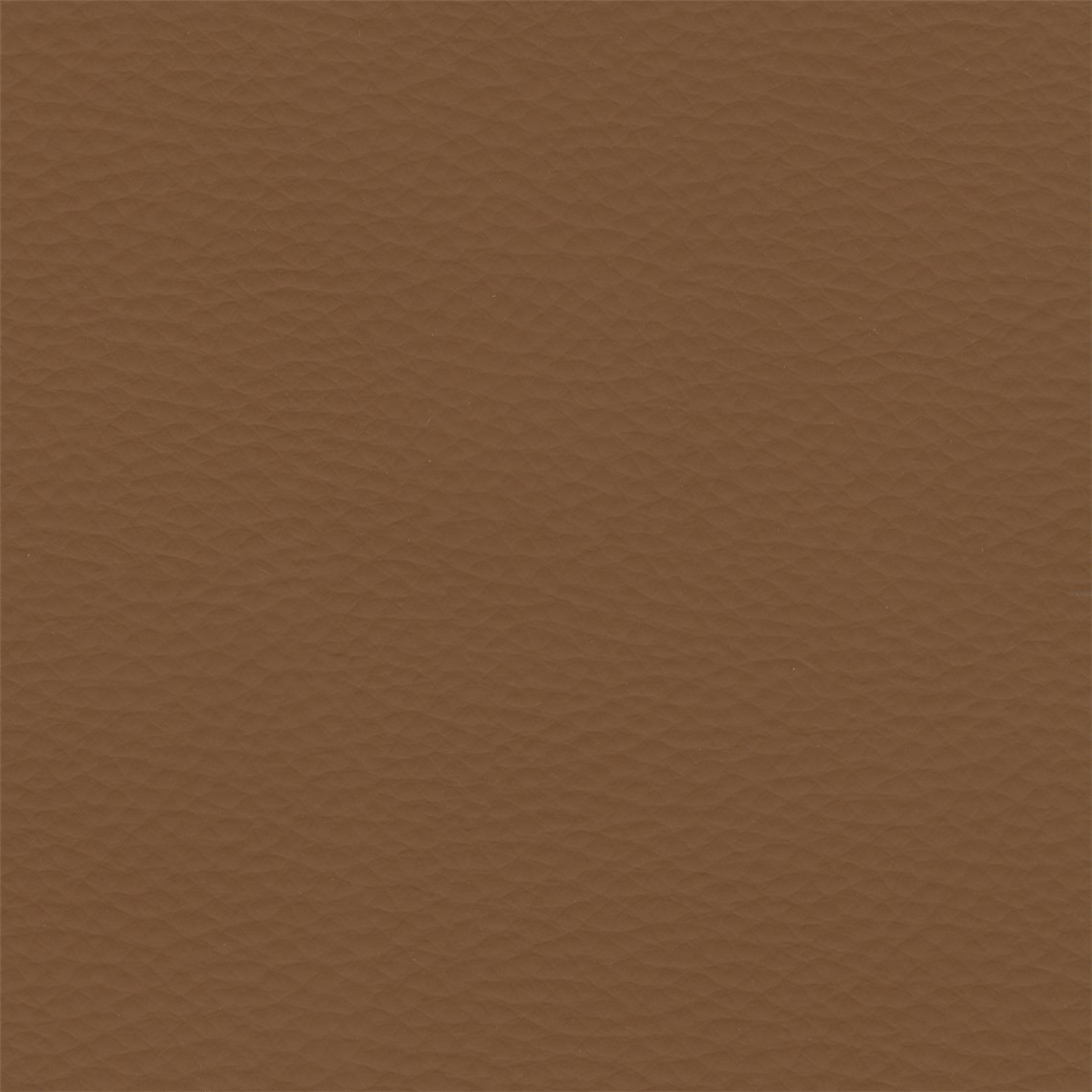 Abracadabra_Cognac