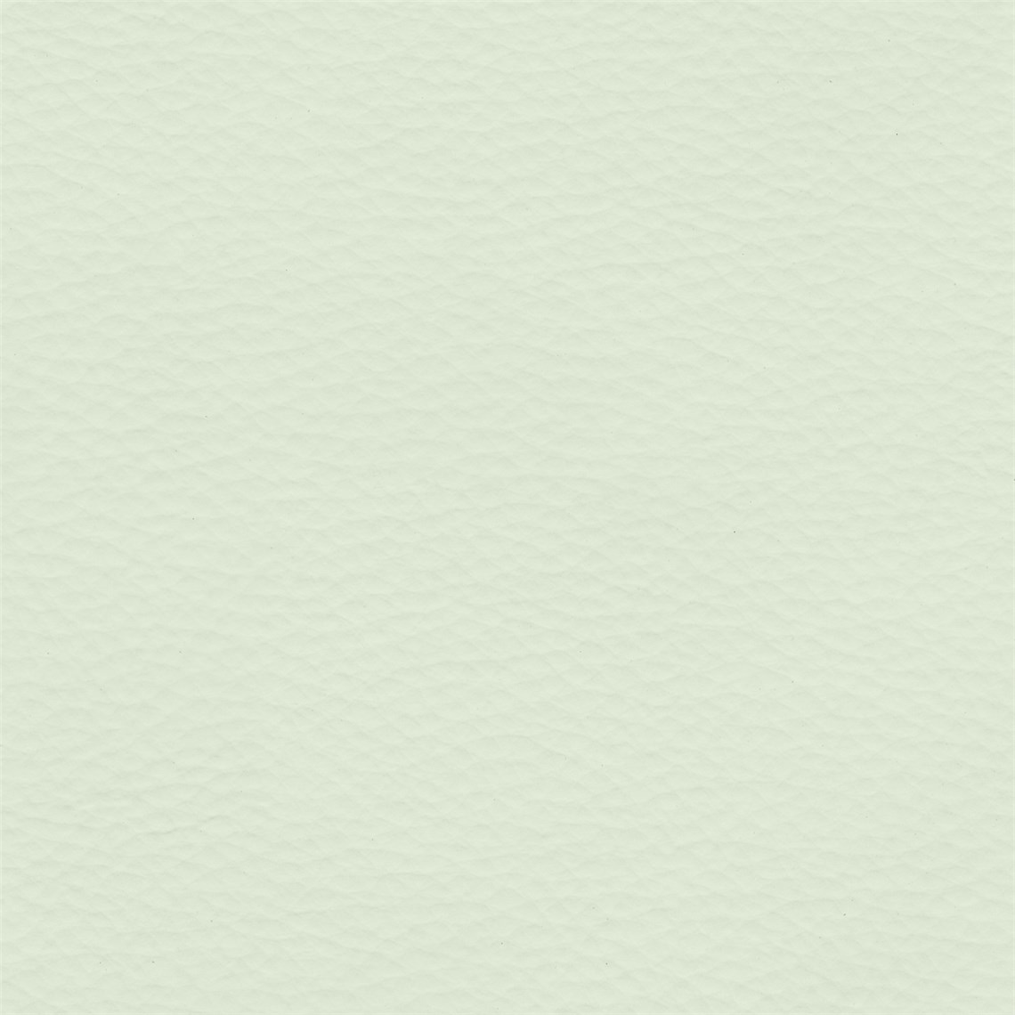 Abracadabra_Creme