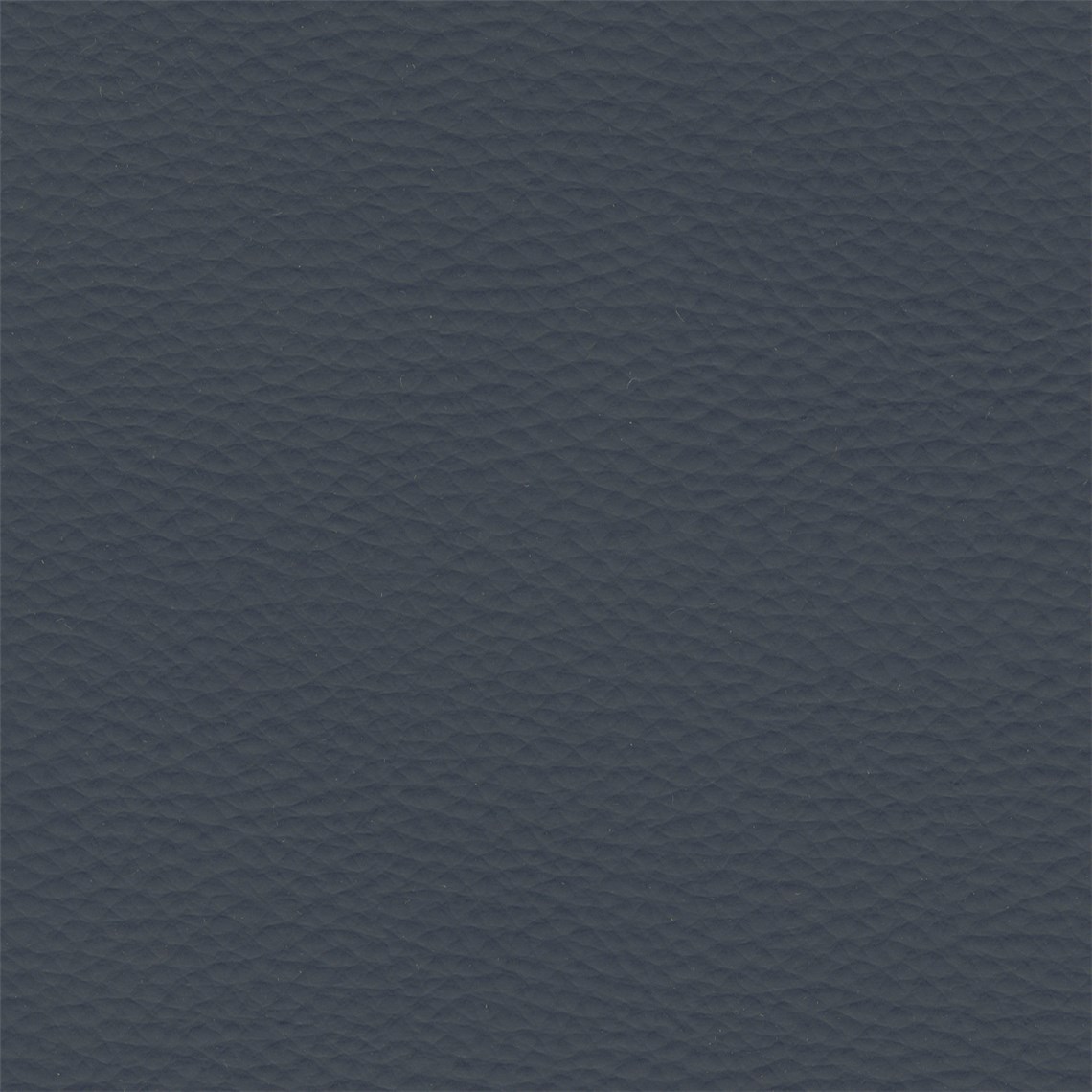 Abracadabra_Navy