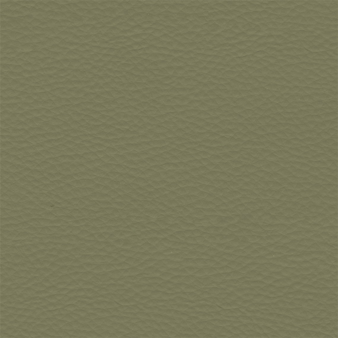 Abracadabra_Olive