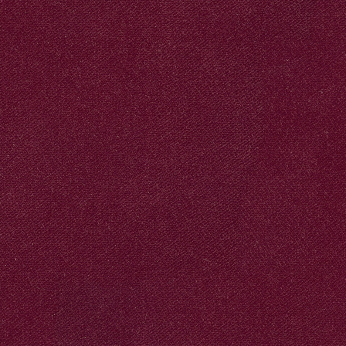 Admiral_Cinnamon
