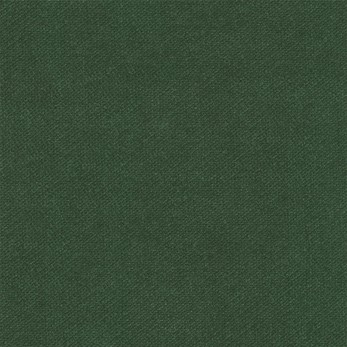 Admiral_Conifers
