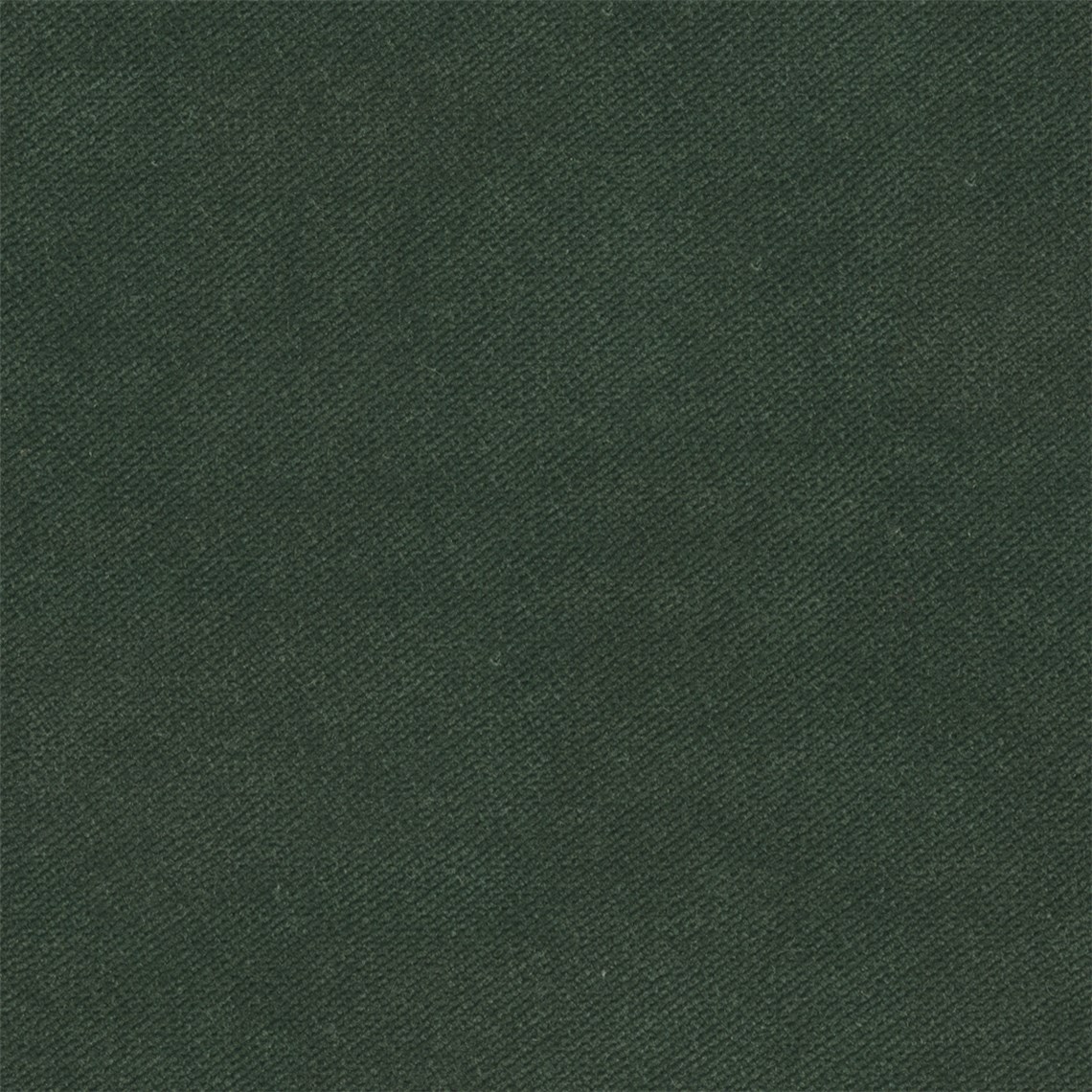 Admiral_Evergreen