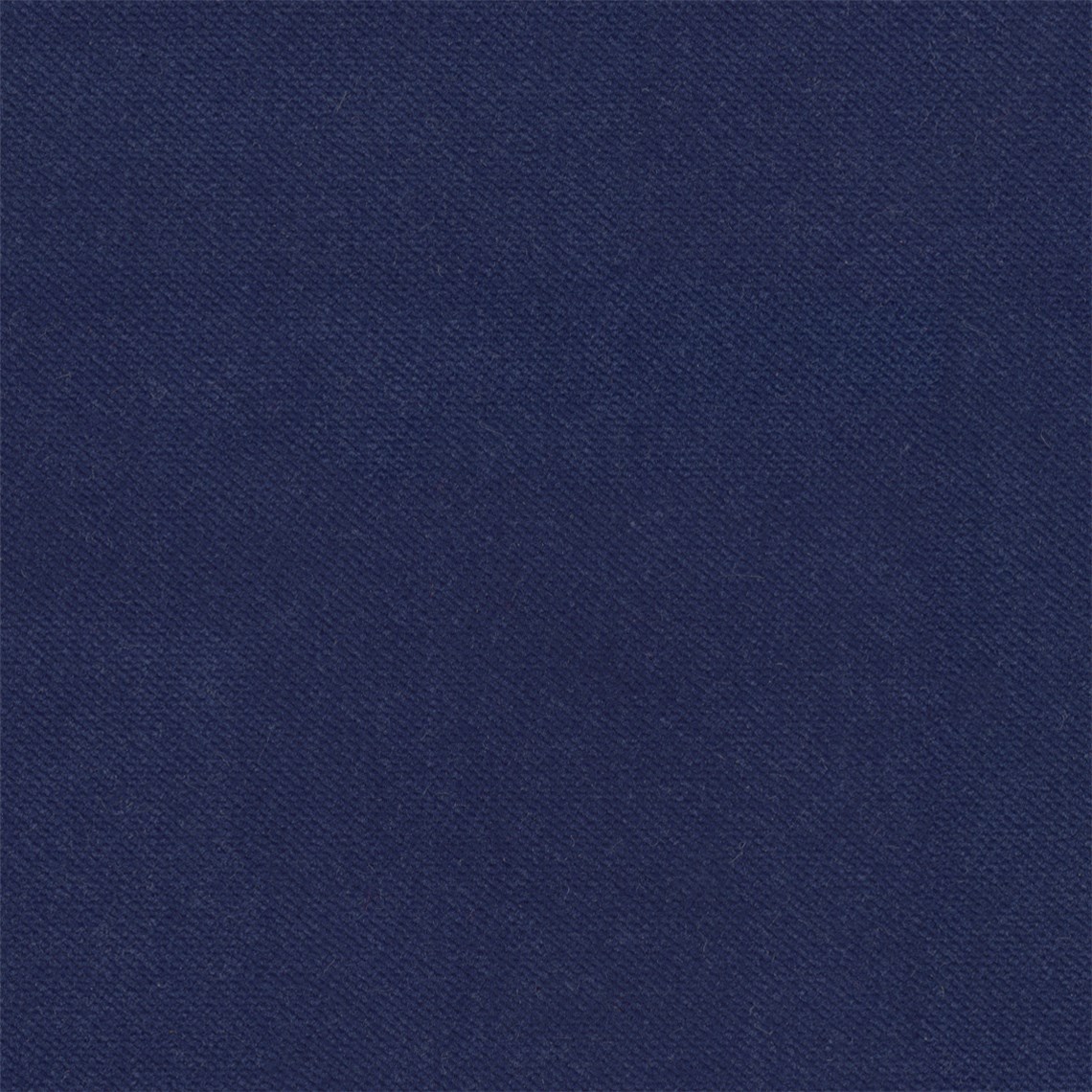 Admiral_Indigo