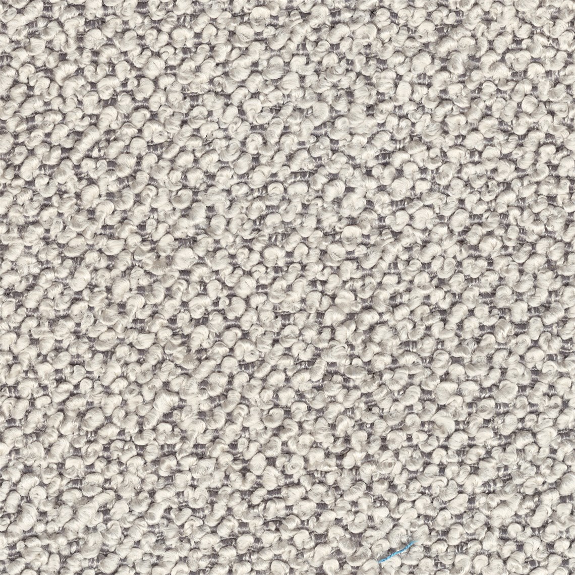 Aficionado_Natural