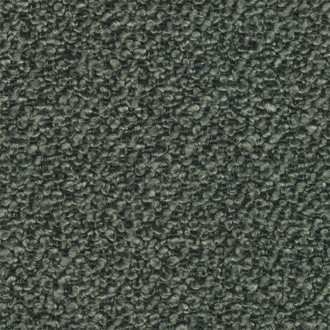 Aficionado_Olive