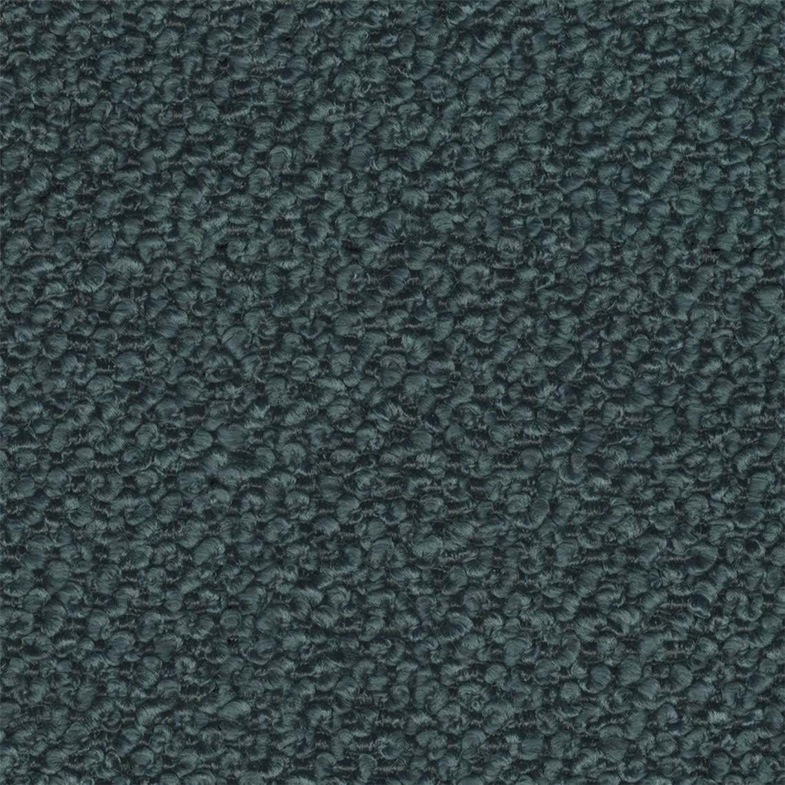 Aficionado_Peacock