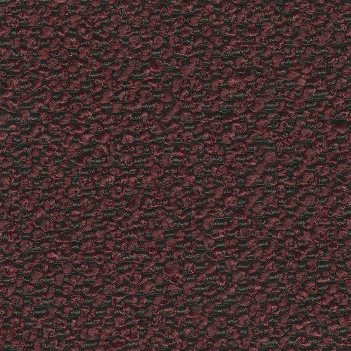 Aficionado_Pinot