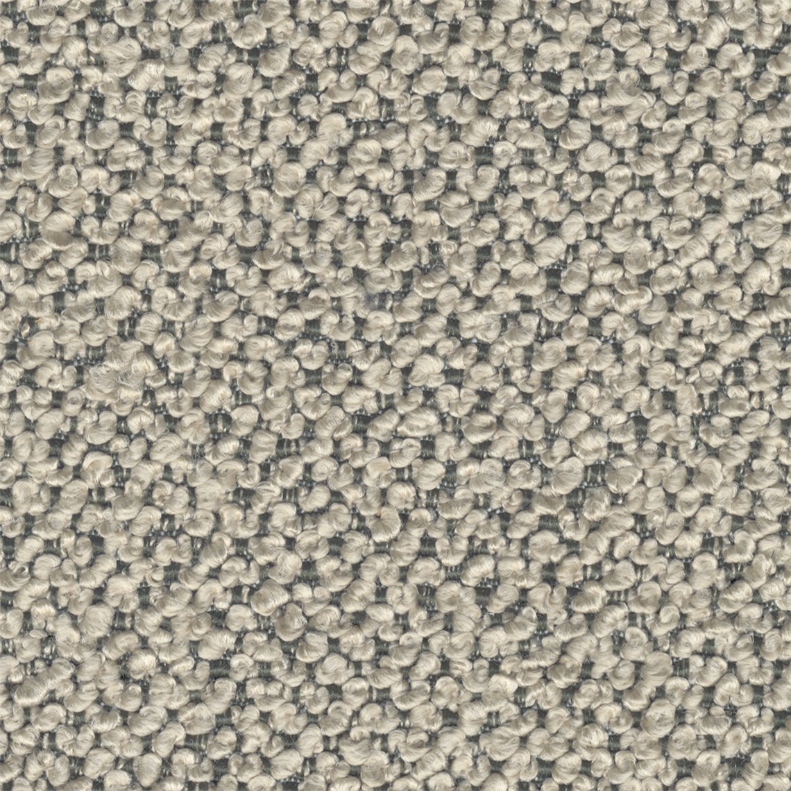Aficionado_Sahara