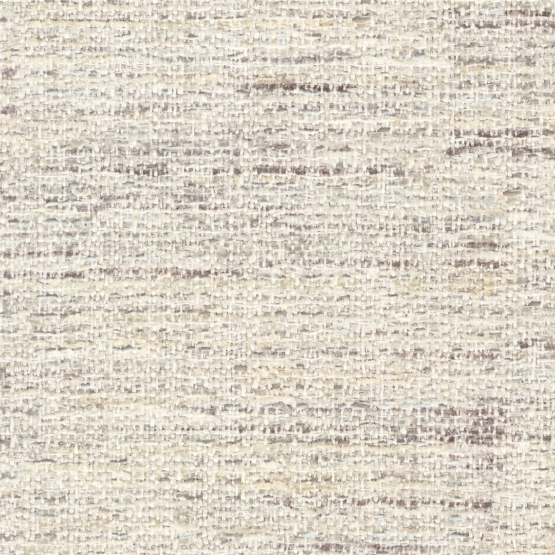 Amenity_Oyster