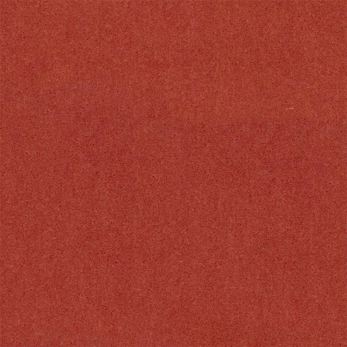 Angora_Mohair_Gladiola