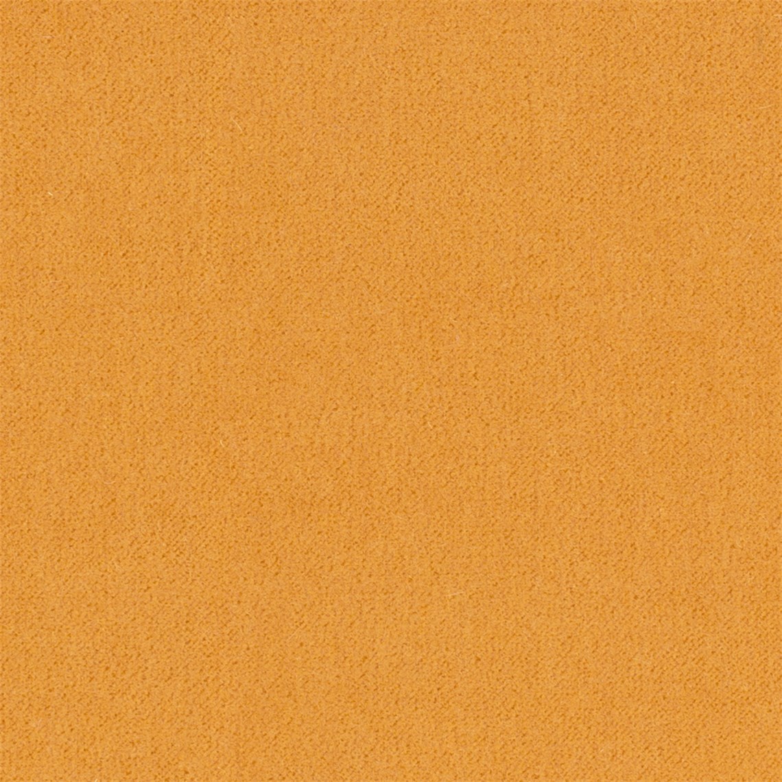 Angora_Mohair_Kumquat