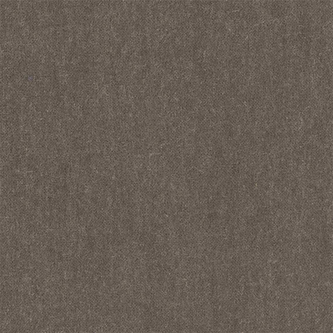 Angora_Mohair_Sycamore