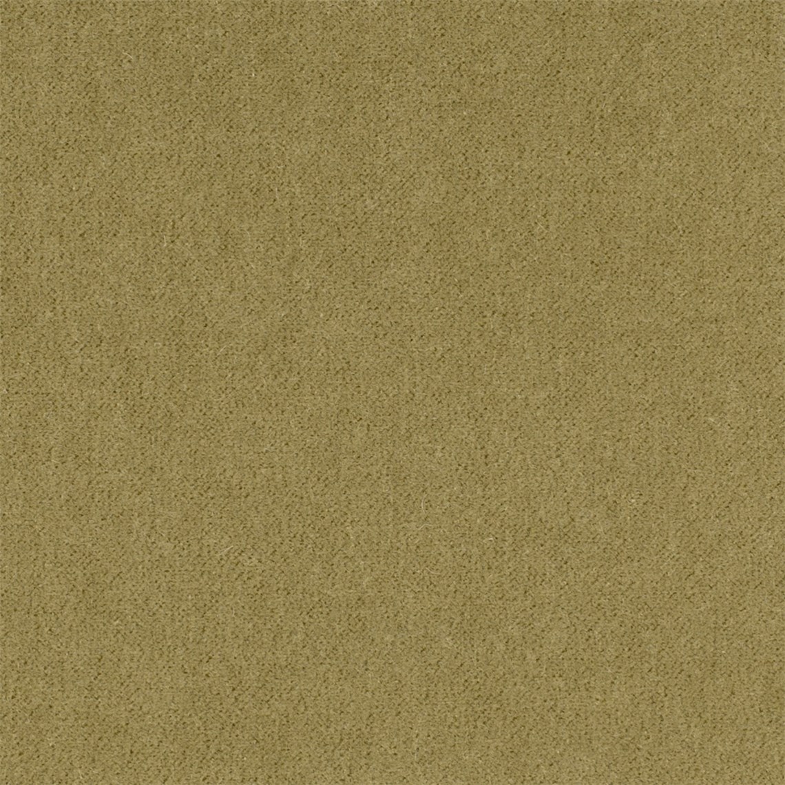 Angora_Mohair_Wheat_Grass
