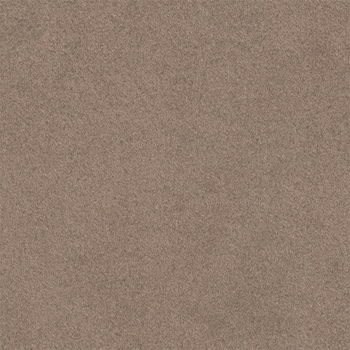 Antico_Peanut