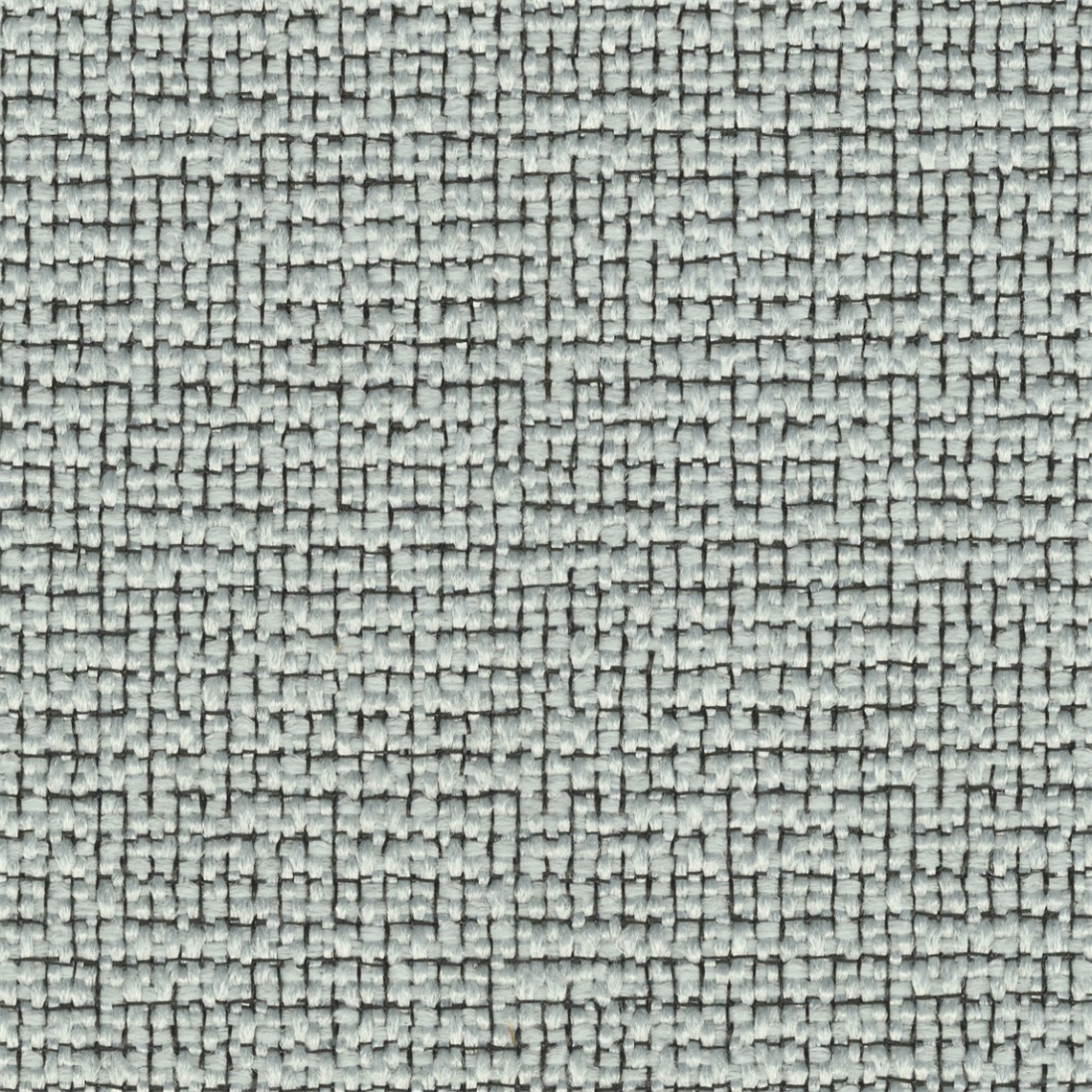 Apella_Bleu