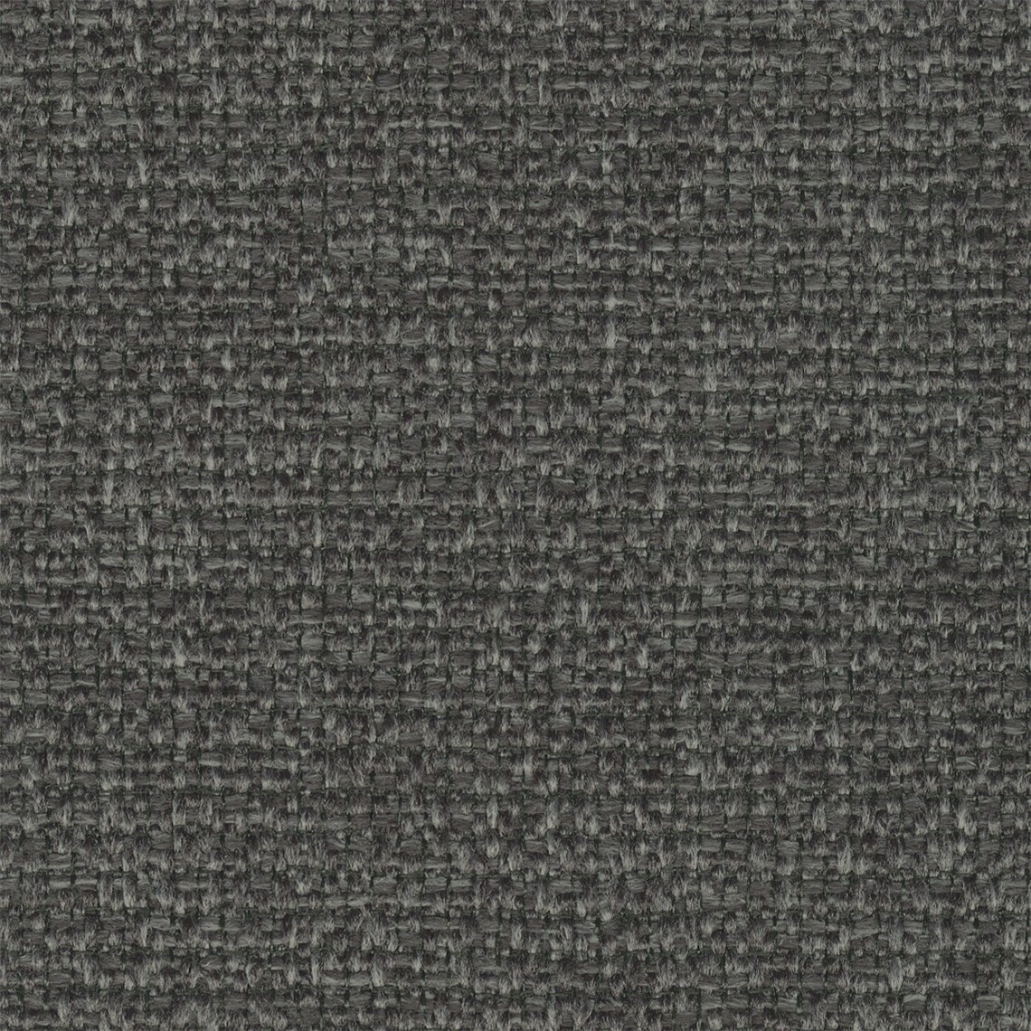 Apella_Charbon