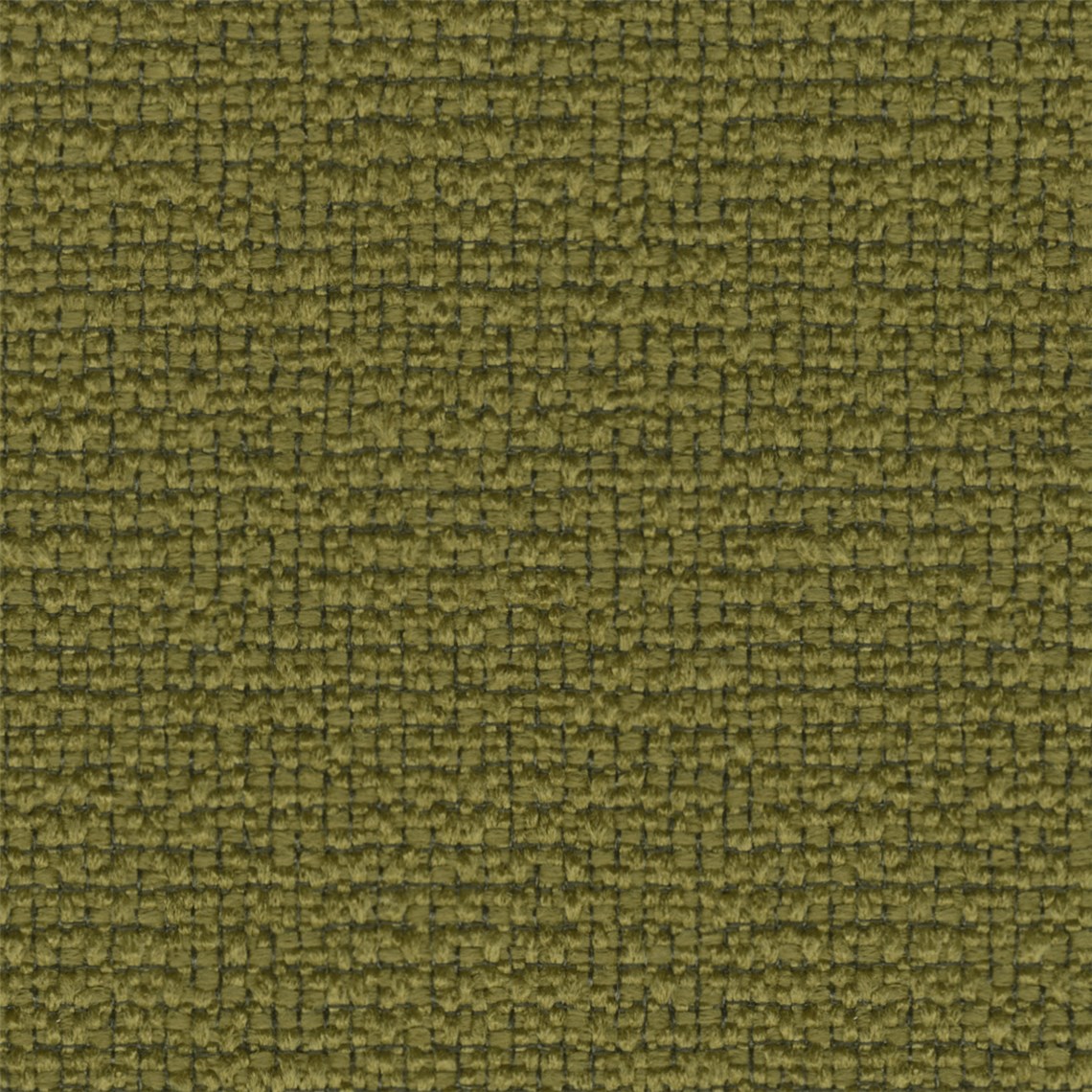 Apella_Vert