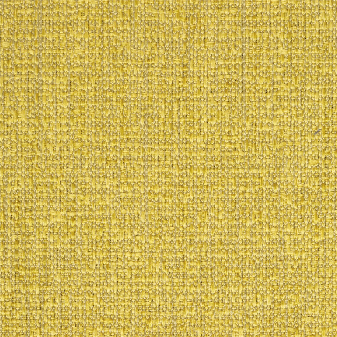 Aperture_Chamomile