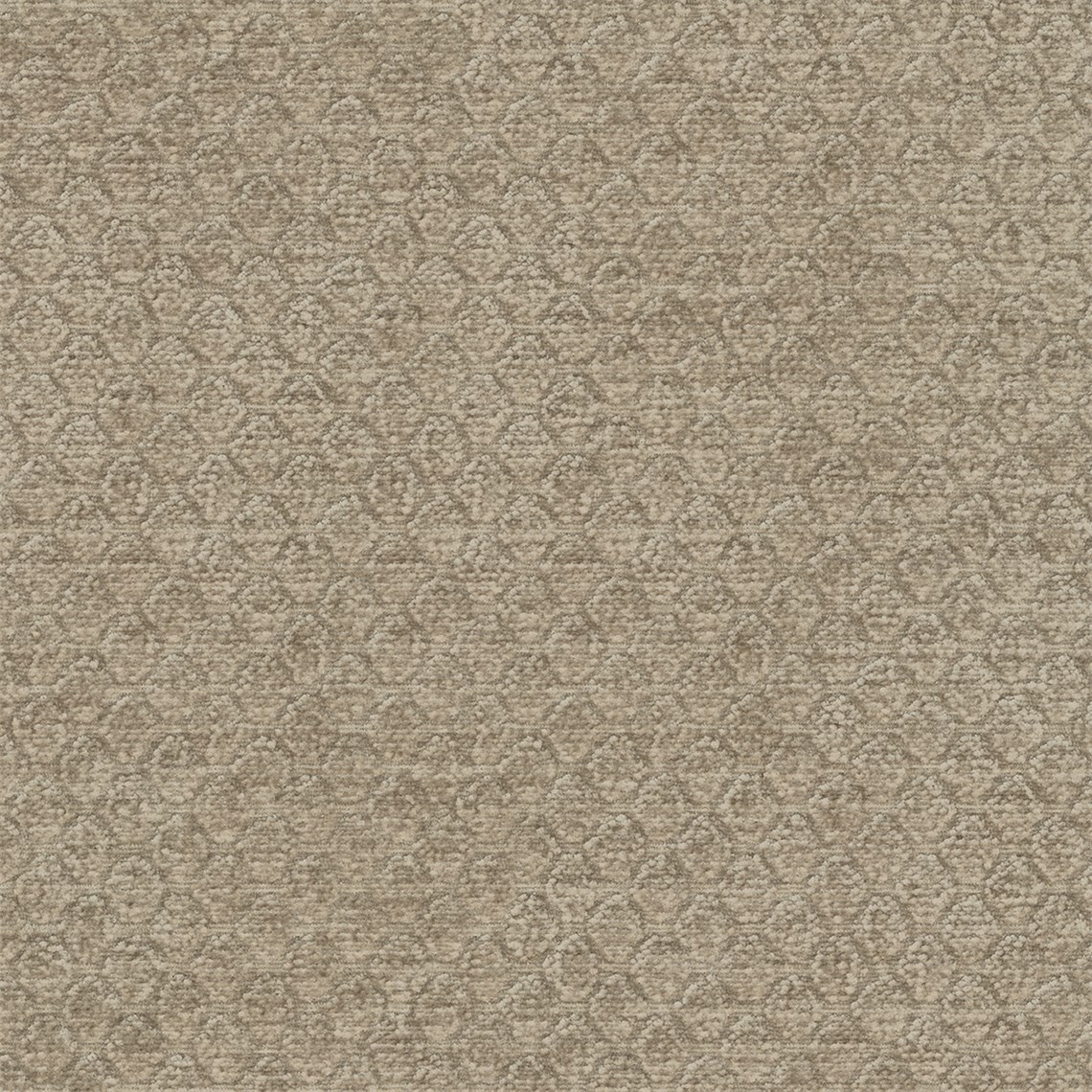 Arapahoe_Tundra