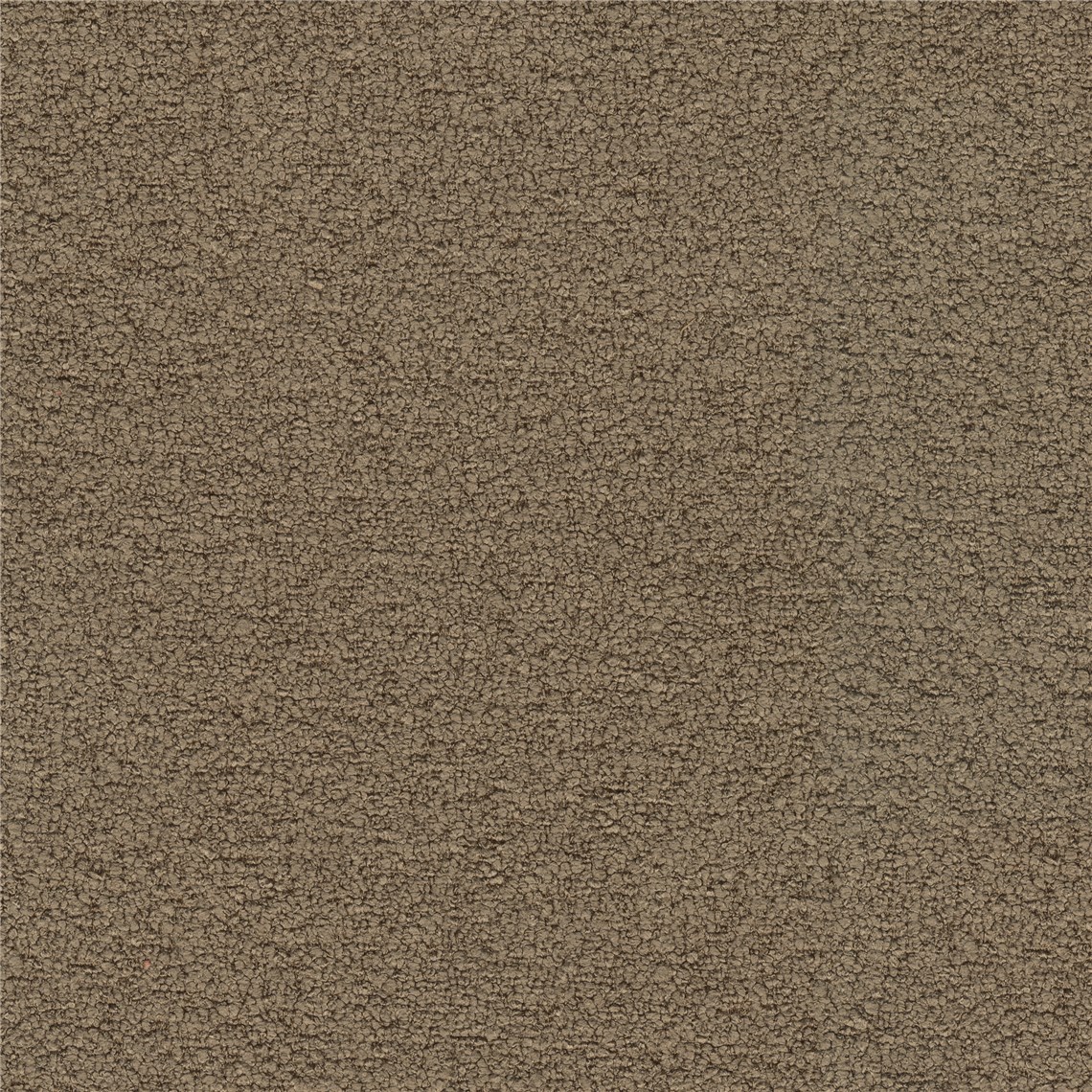 Beaucoup_Brown