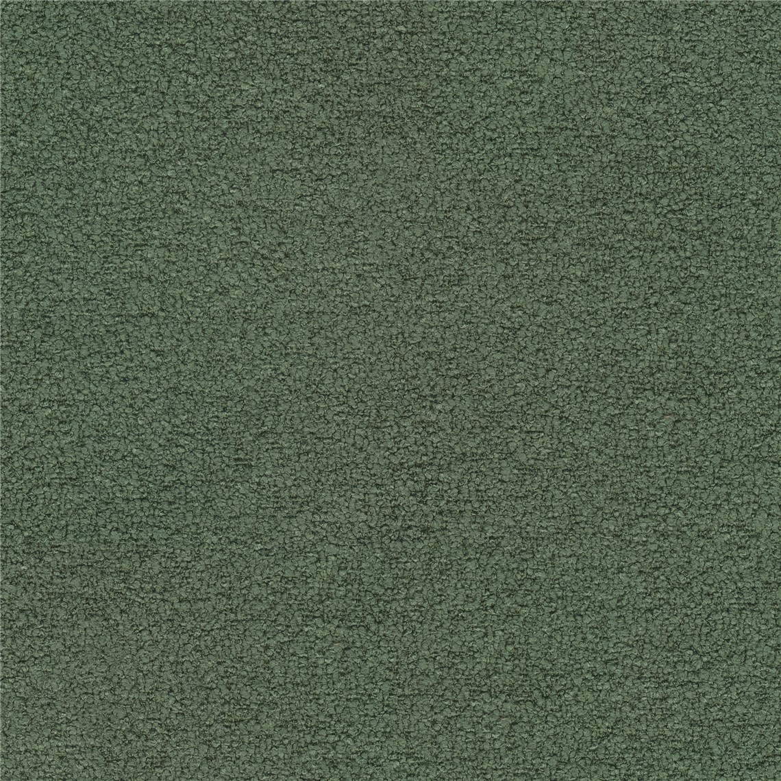 Beaucoup_Forest