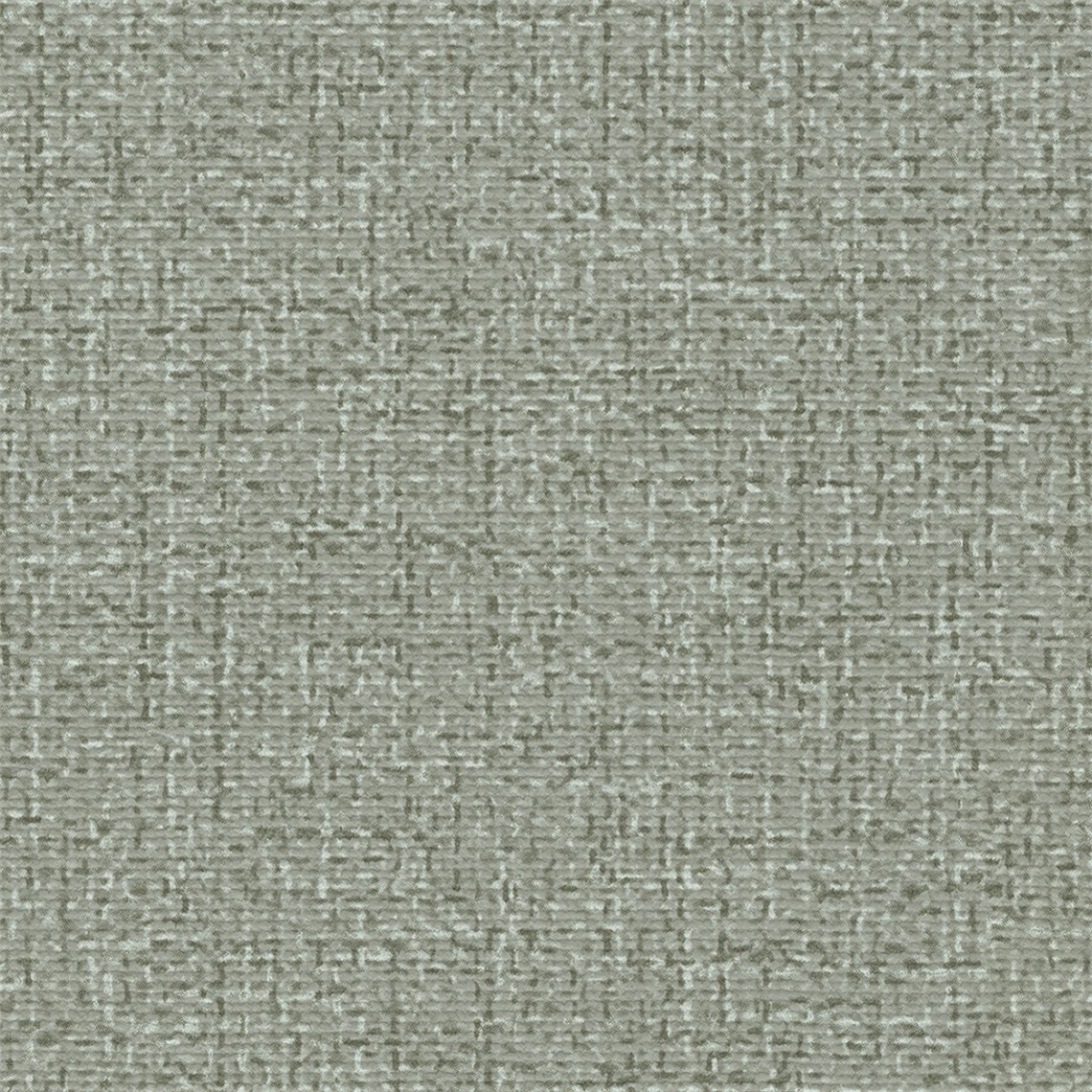Bergen_Chinchilla
