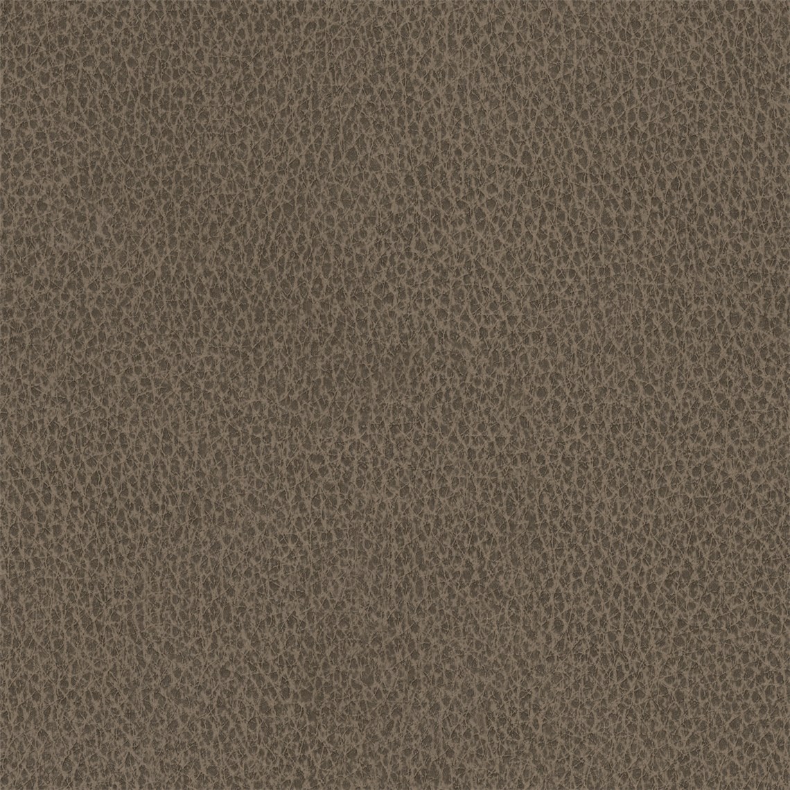 Biograin_Arabica