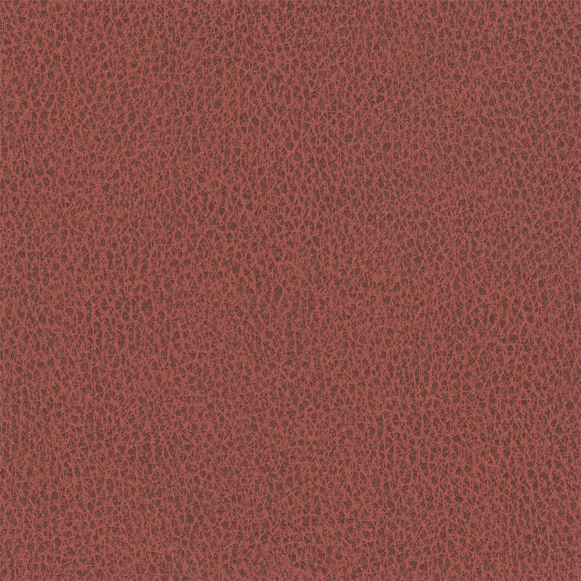 Biograin_Campfire