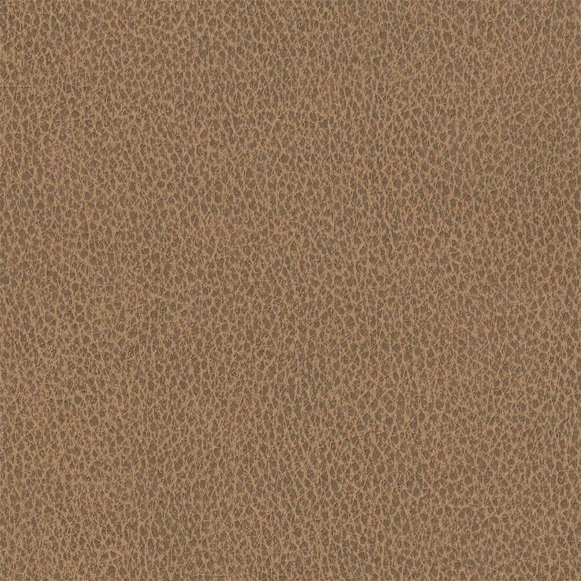 Biograin_Caramel