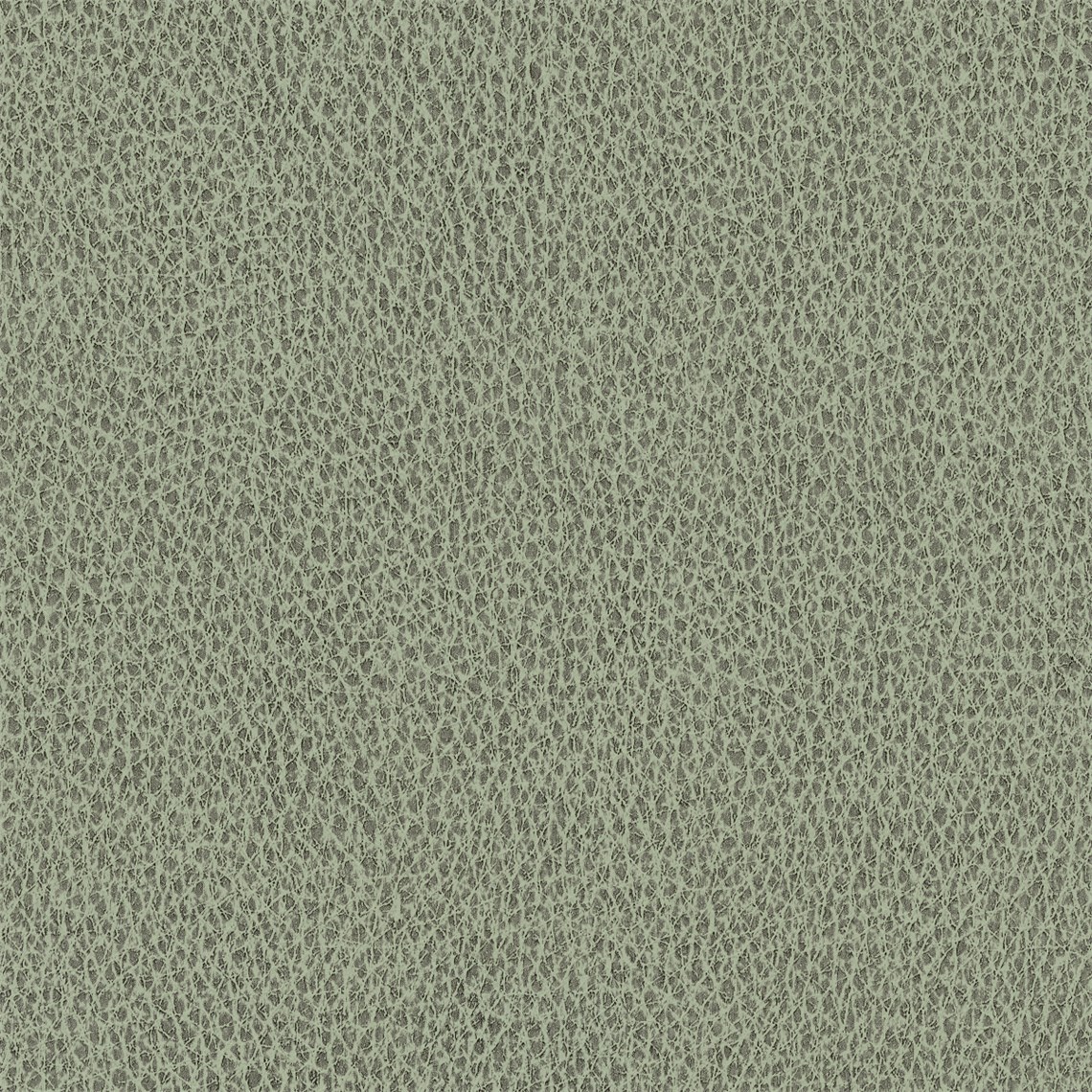 Biograin_Clover