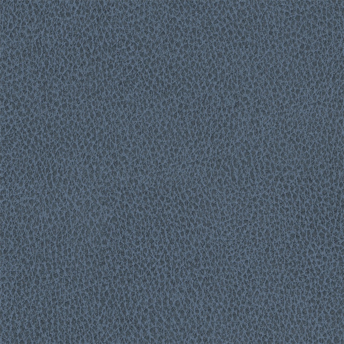 Biograin_Denim