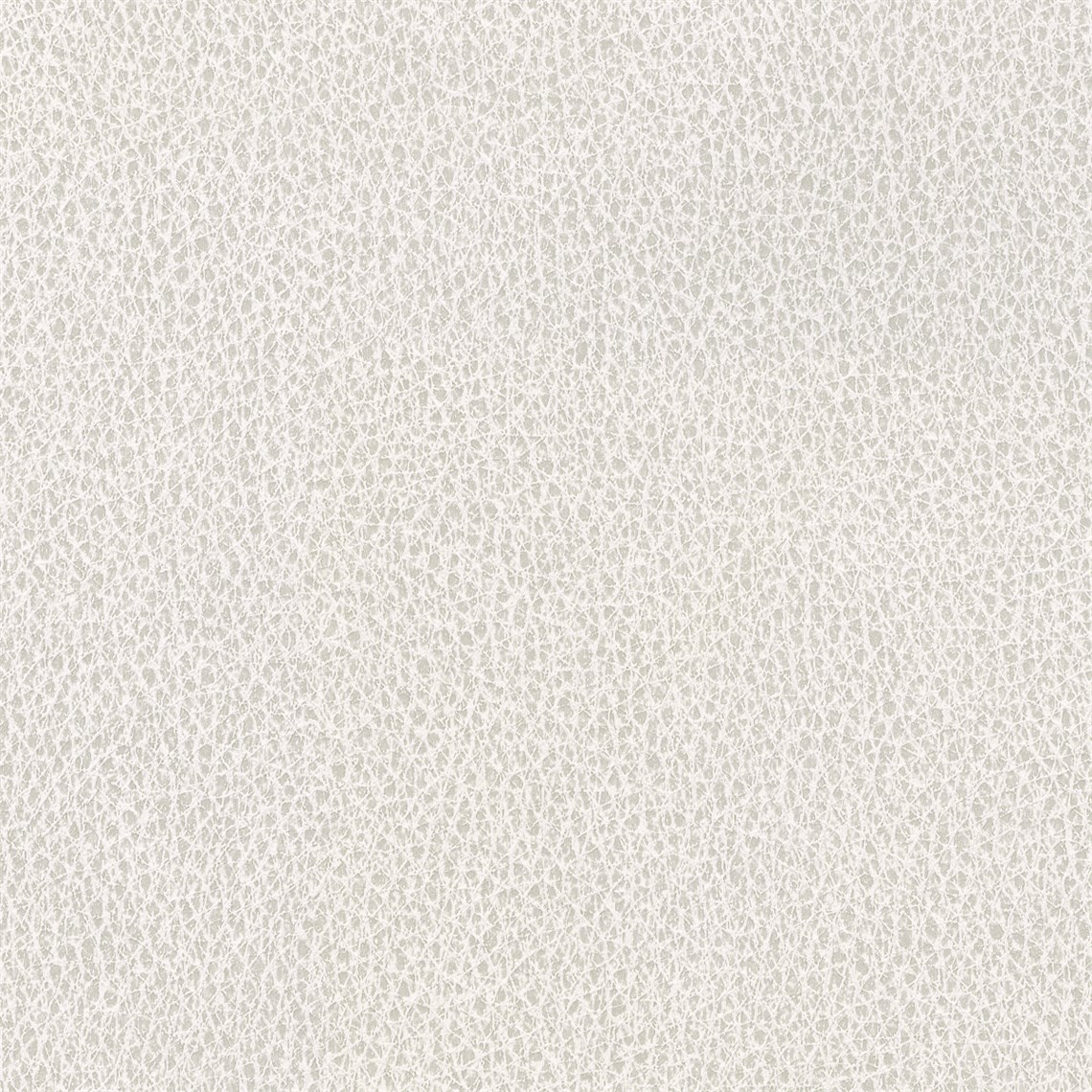 Biograin_Dove