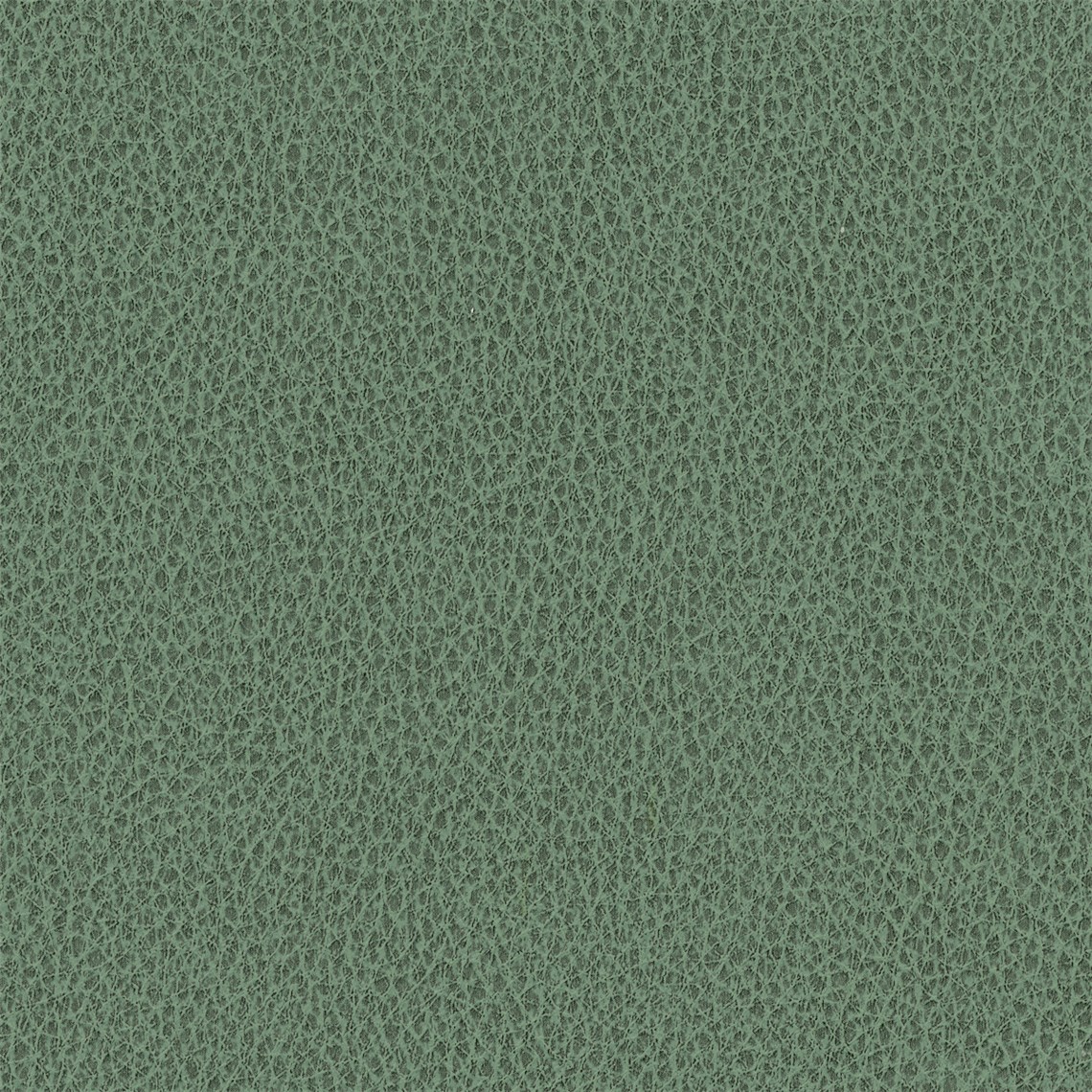 Biograin_Emerald