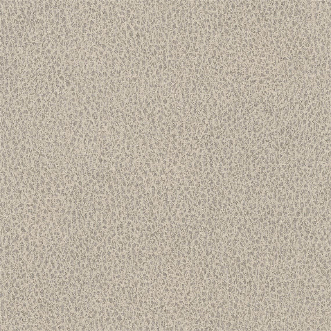 Biograin_Limestone
