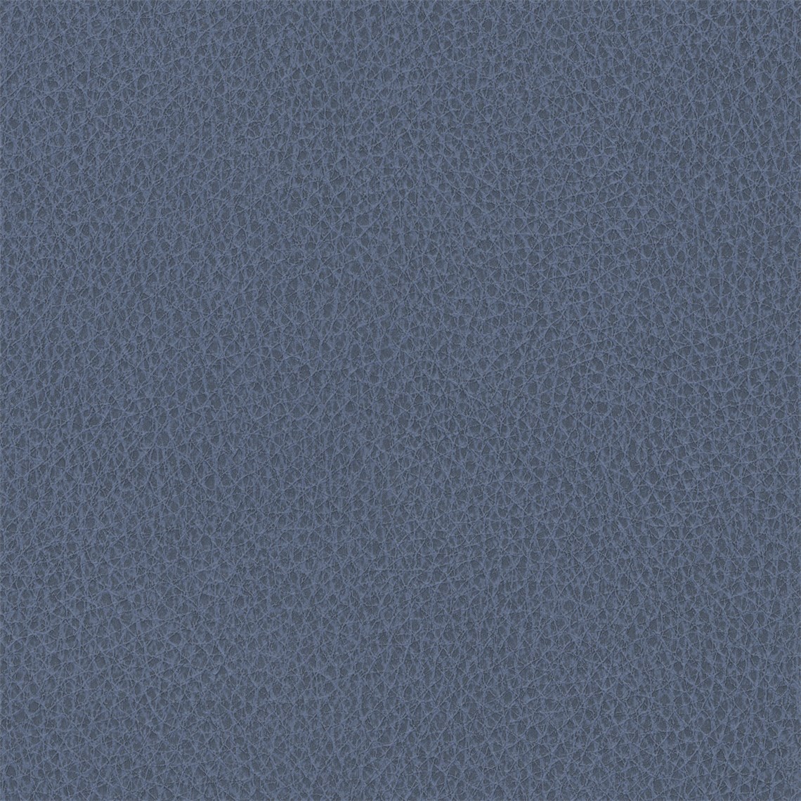 Biograin_Ocean