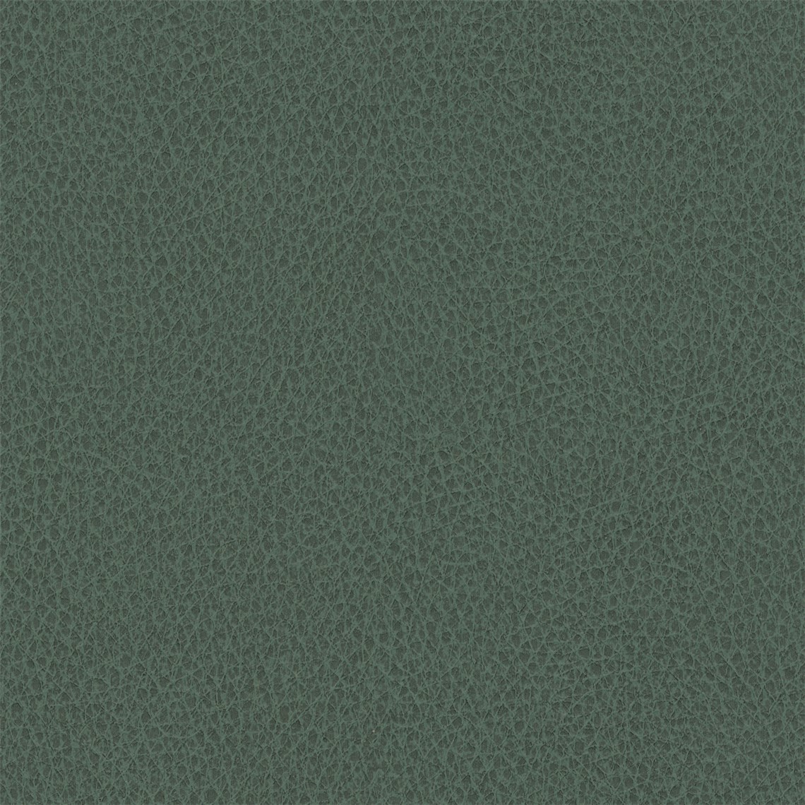 Biograin_Rainforest