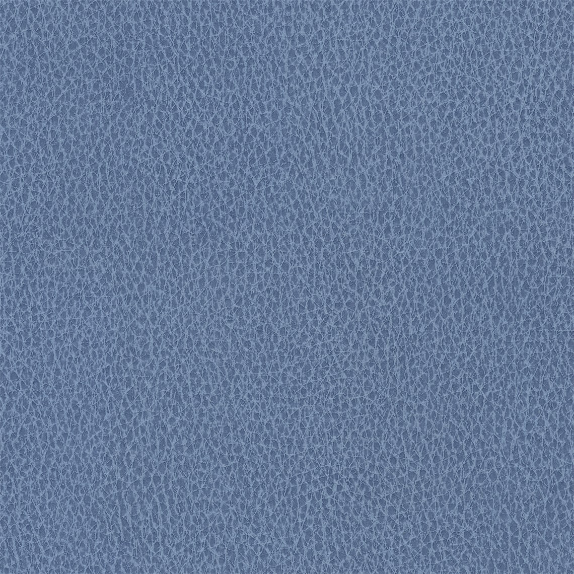 Biograin_Sea_Wind
