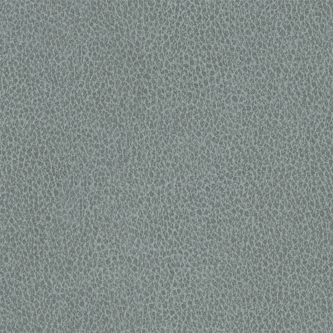 Biograin_Seagull