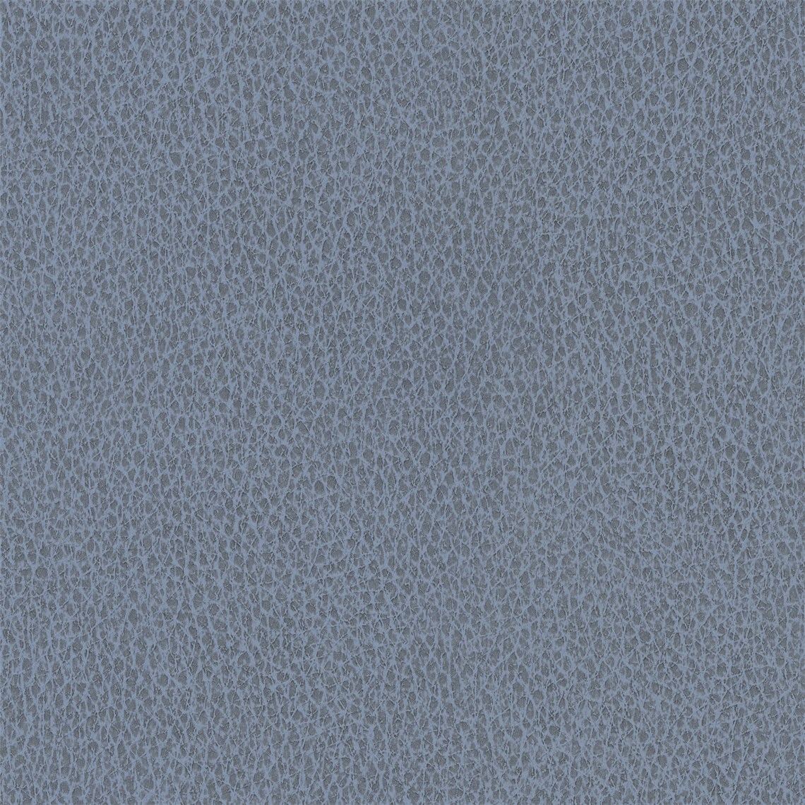 Biograin_Sky