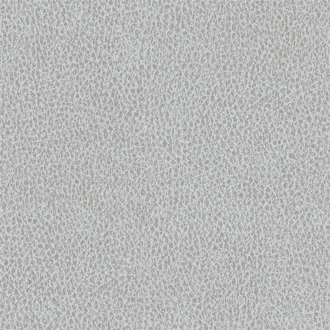 Biograin_Skylight