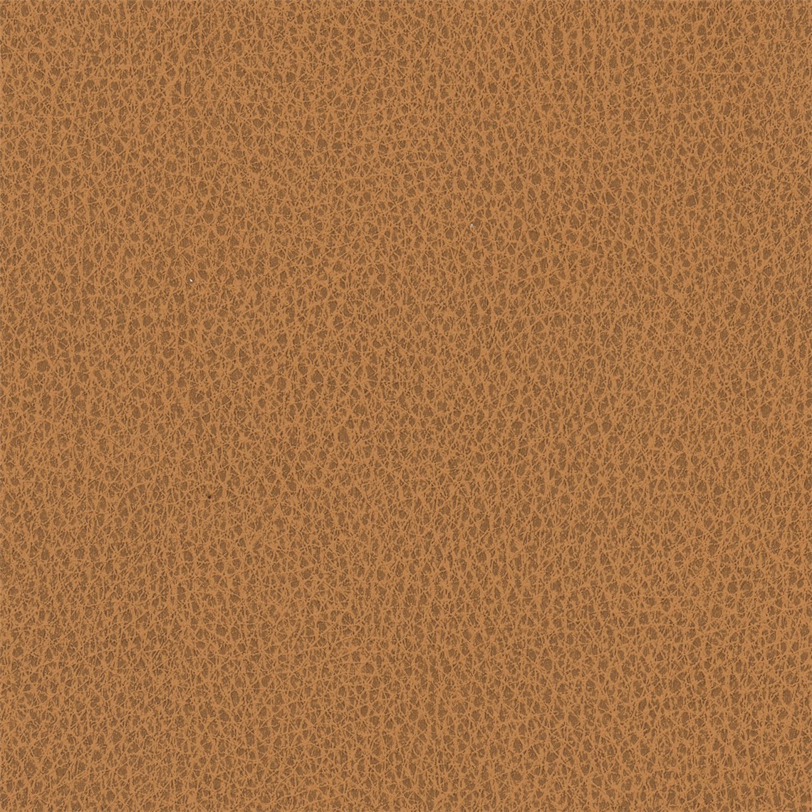 Biograin_Sunray