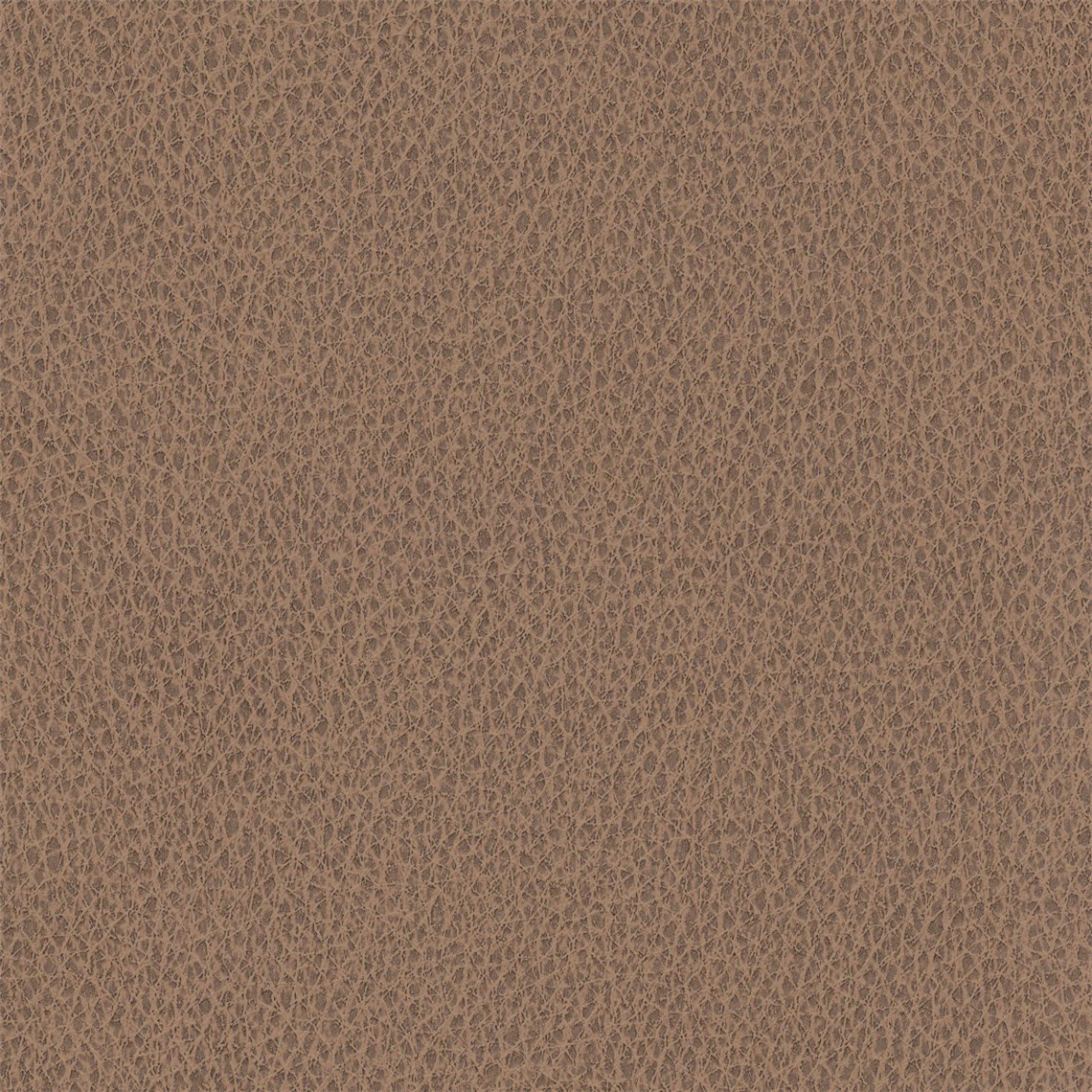 Biograin_Tamarind