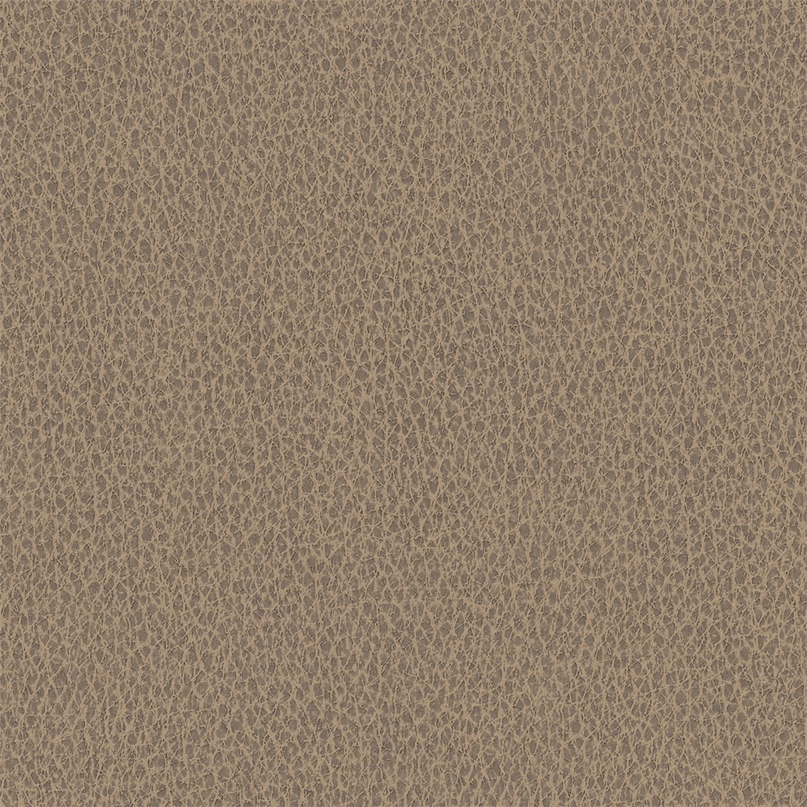 Biograin_Toast