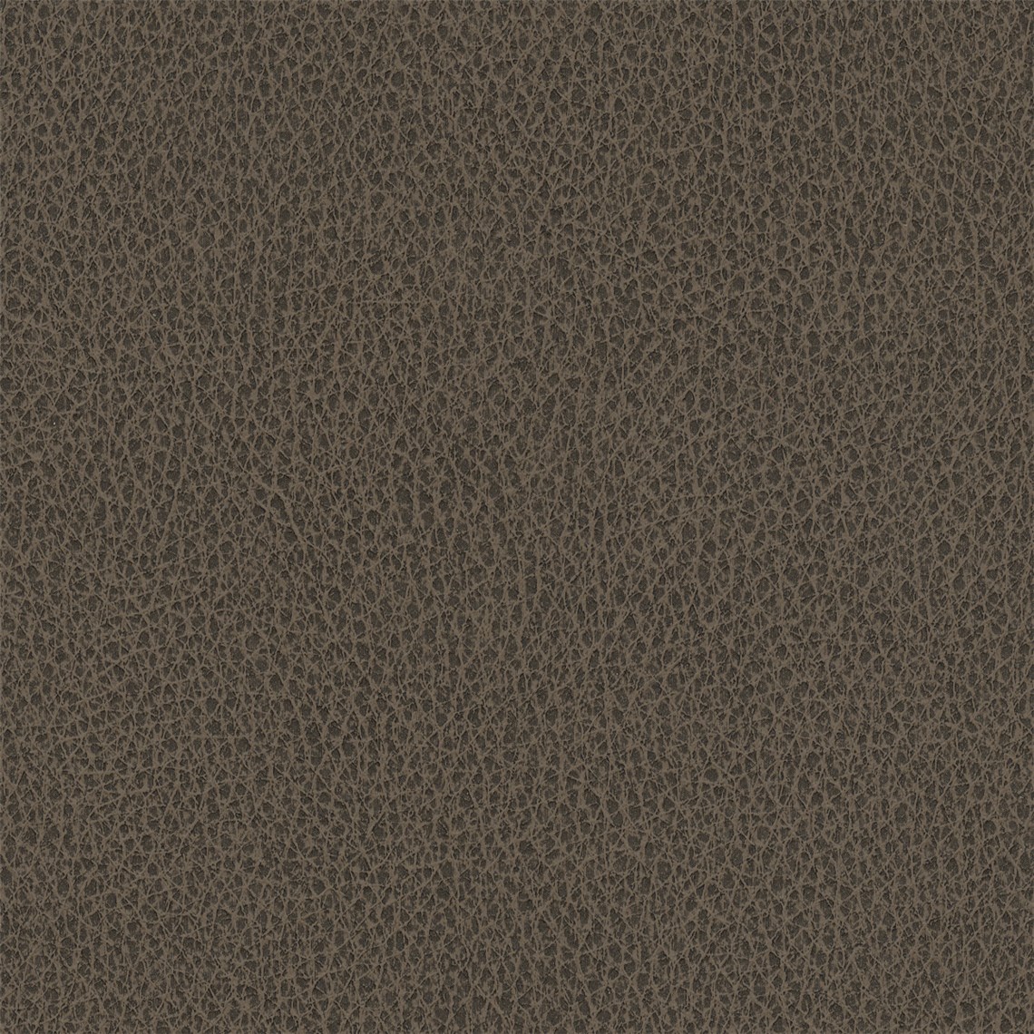 Biograin_Truffle