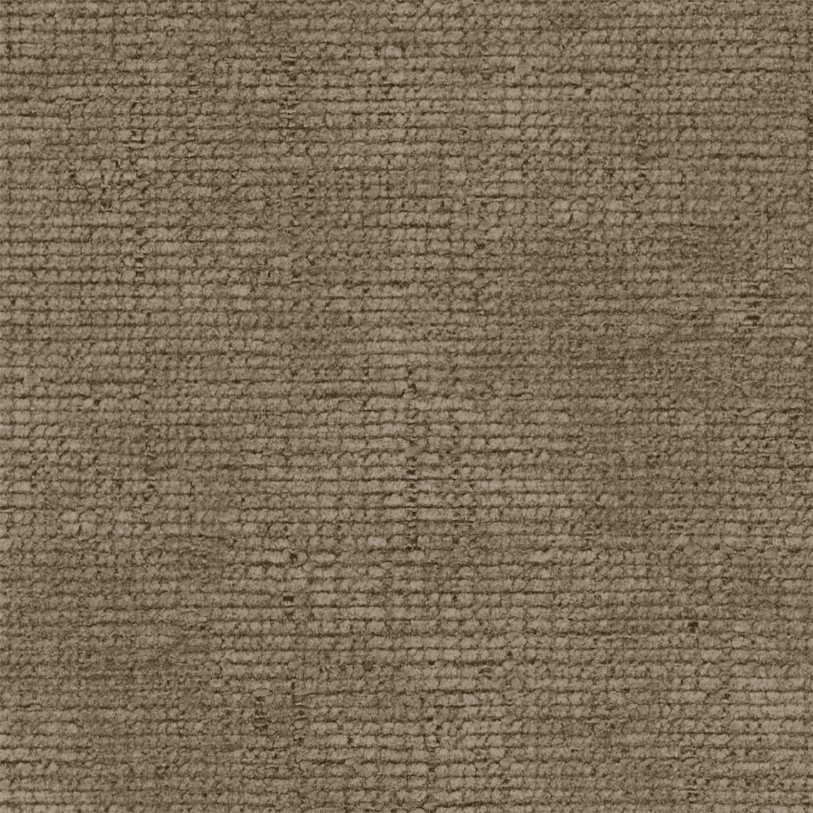 Brera_Chestnut