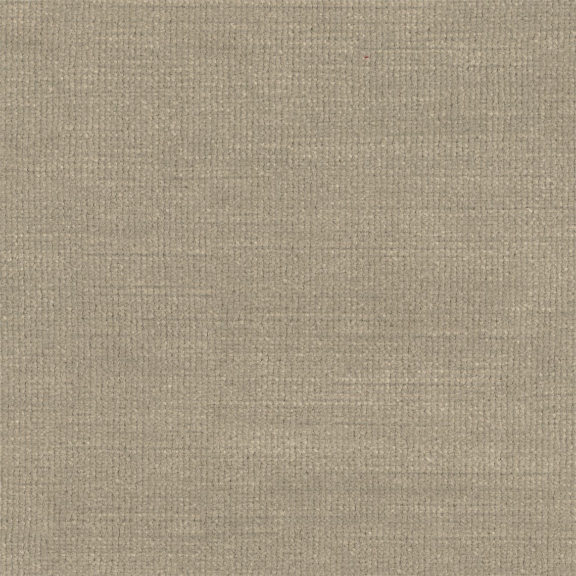 Brigantine_Beluga